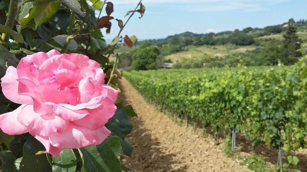 Farm stay Agriturismo Pescaia Montepulciano